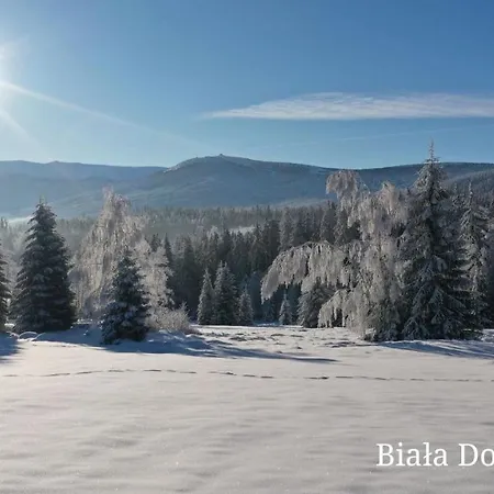 Vila Widokowka Karkonoska - Dom Na Wylacznosc Sklářská Poruba