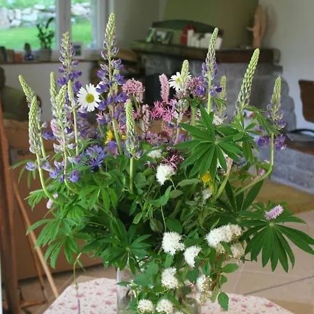 Widokowka Karkonoska - Dom Na Wylacznosc Vila *