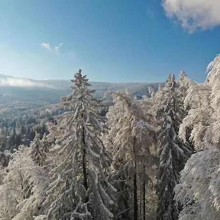 Villa Widokowka Karkonoska - Dom Na Wylacznosc