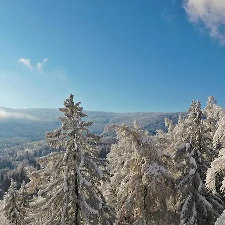 Vila Widokowka Karkonoska - Dom Na Wylacznosc