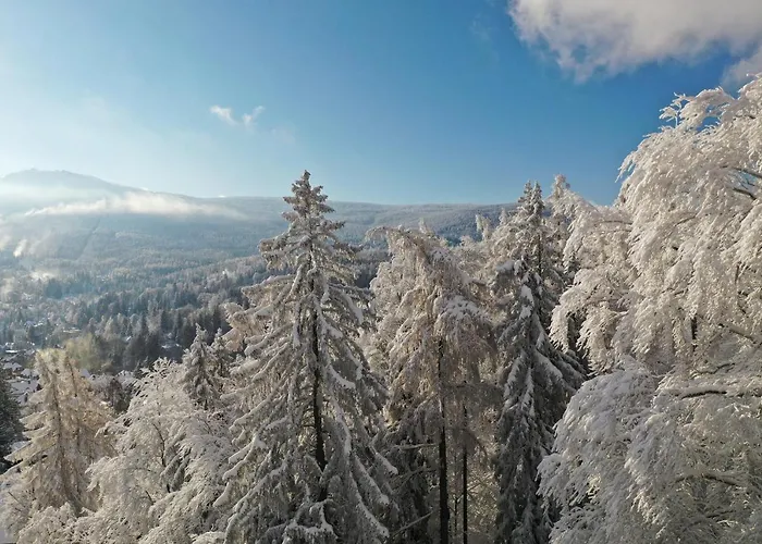 Villa Widokowka Karkonoska - Dom Na Wylacznosc