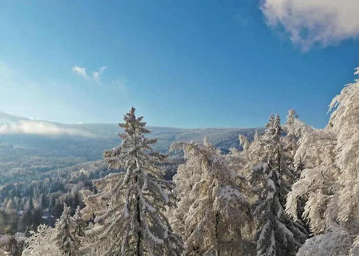 Villa Widokowka Karkonoska - Dom Na Wylacznosc